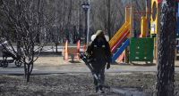В Кургане Парк Победы обработают от клещей
