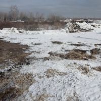 В Кургане ликвидировали свалку биологических отходов  в районе СНТ «Земляничная поляна»