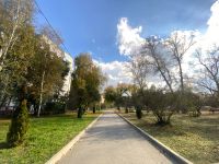 В Кургане прогнозируют потепление к концу недели